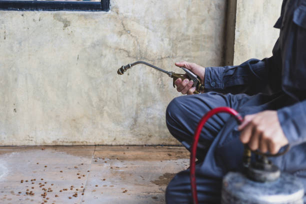 Best Pest Control Near Me  in Gassville, AR